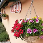 Дом отдыха Danieli *
