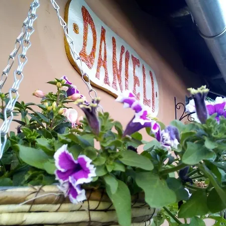 Danieli *
