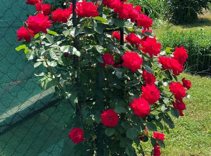 Danieli Semesterbostad